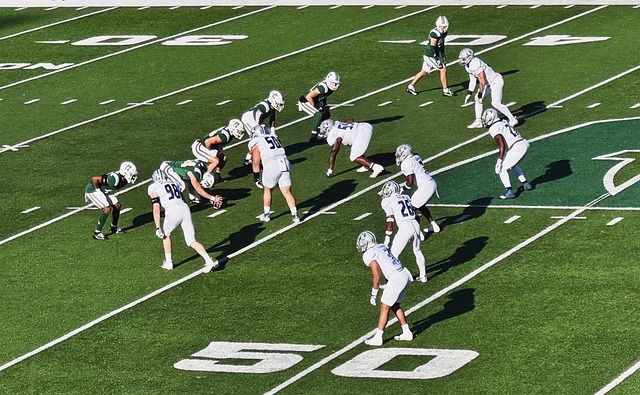 场上的积极 场上的积极