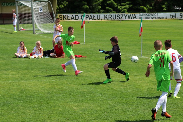 不拔的精神 不拔的精神