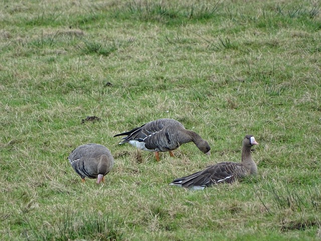 来已经扑面 来已经扑面