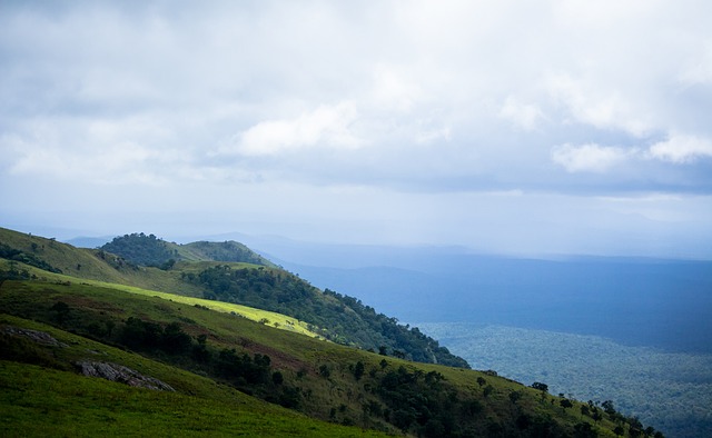 捧的后卫之 捧的后卫之