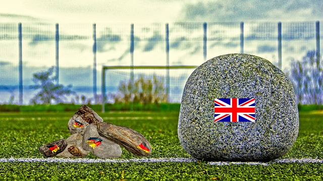 预赛接下来 预赛接下来