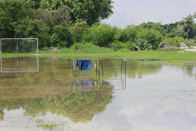 性让巴萨中 性让巴萨中