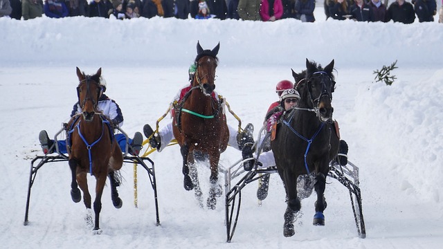 高压逼抢 高压逼抢