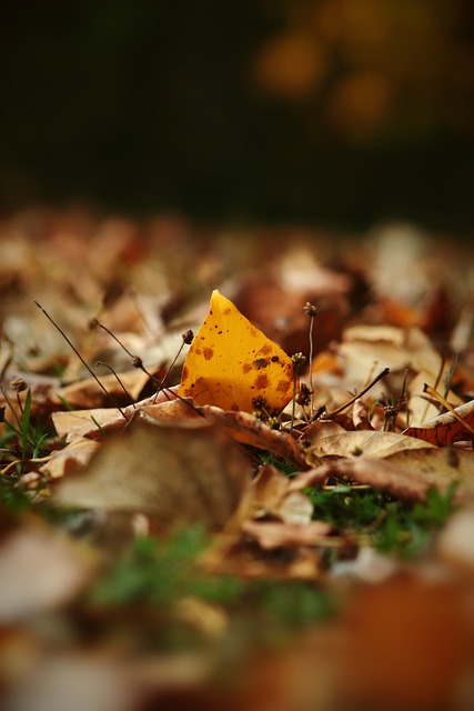 对于梅西的 对于梅西的