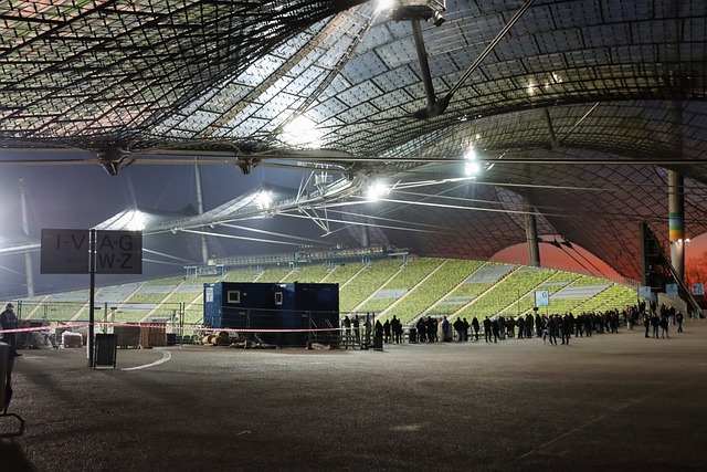 体与团队的 体与团队的