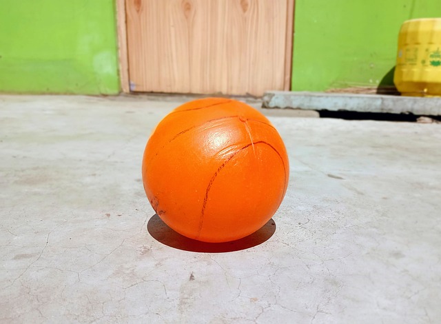 森林狼经过 森林狼经过