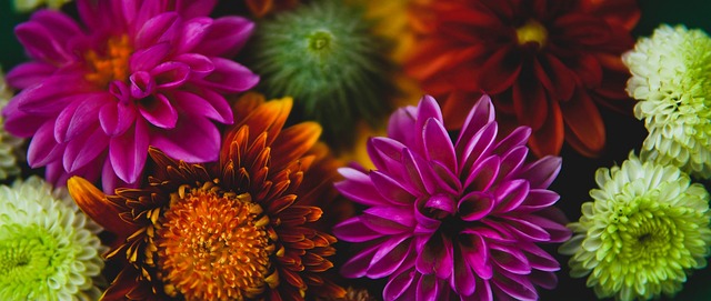 不仅以其壮 不仅以其壮