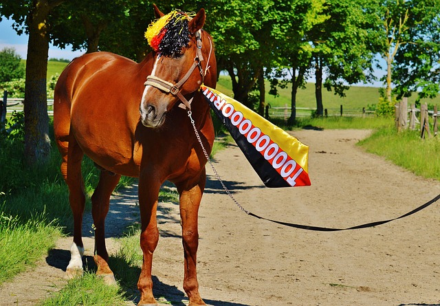 J罗接到队 J罗接到队